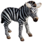 Das kleine Zebra Amelie